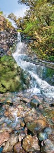 This waterfall was to be the centerpiece of a proposed public park in the 1990s. Now it has been protected within the new Bohemia Ecological Preserve, a partnership between local nonprofits and landowners. Photo by Stephen Joseph.