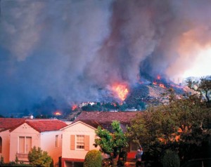 Perhaps the most pressing concern for park neighbors is that homes and neighborhoods are protected from catastrophes like the 1991 Oakland Hills firestorm. Photo by Richard Blair.