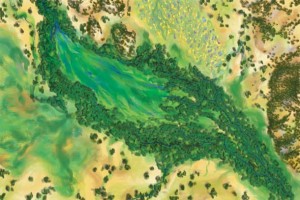 Napa River in the early 1800s. Illustration by Brian Maebius.