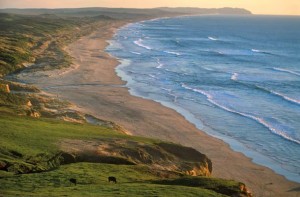 View looking south down to Kehoe Beach and along Point Reyes Beach out to the westernmost tip of Point Reyes. Photo by Richard Blair.
