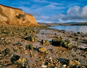 View south from the beach at Bull Point. Photo (c) Ed Callaert.