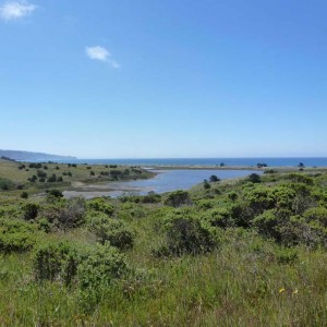 View from the Estero Trail about half way to the junction with the Glenbrook trail, looking south toward Sculptured Rock beach and Point Resistance.