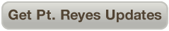 Get Point Reyes Updates
