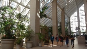 Greenhouse at Citigroup Center (Market and Sansome). Photo by Heather Mack.