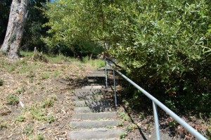 La Loma is the newest path to be added to the network. Photo by Alicia Freese.