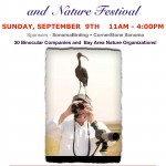 Optics Festival Flyer
