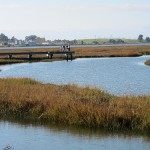 birding-group-at-arrowhead-marsh-150x150