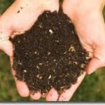 composting