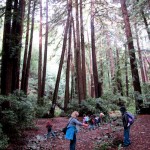 docent_photo