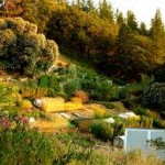mini-farm-EA
