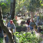 plant-fair-2006-1 3