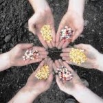 seed saving