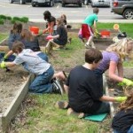 soil prep