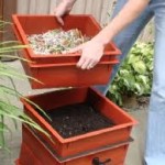 worm composting