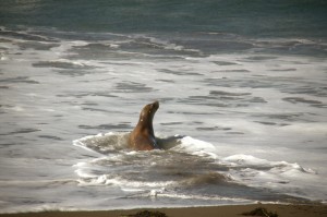 IMG_3115