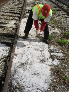 Preproduction plastic pellets, or nurdles, spilled during rail car loading. Photo courtesy of the California State Water Resources Control Board.