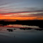 DSCN1454