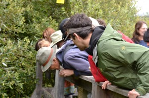 Wild Equity Institute recently led a tour of prime red-legged frog habitat at Mori Point. Photo by Christine Kelly.