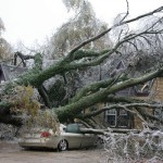Natural Disasters