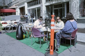 Non-native species, synthetic, at 14th St. and Franklin, Oakland.