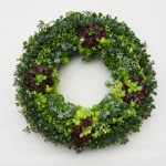 succulent-wreath-325