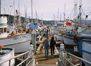 The docks at Half Moon Bay. Photo by Steve McFarland/Flickr.