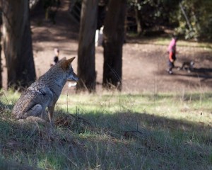 Photo by Janet Kessler