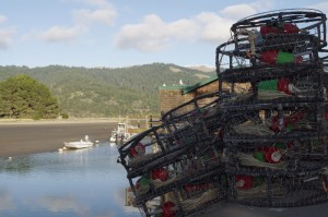 Crabbing at Bolinas. Photo by Jackson Karlenzig.
