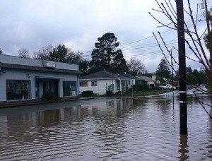 Flooding in Novato. Photo by Jessica Merz.