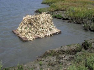 Photo courtesy of USGS.