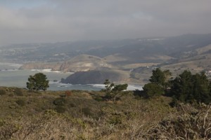 A view across the coastal scrublands at Pedro Point Headlands. Photo by Alison Hawkes.