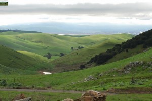 The view from one of the ridges on the King-Swett Ranch, Solano County, Solano Land Trust. Photo by Doug Wirtz/Flickr.
