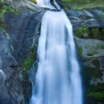 Wild Watersheds