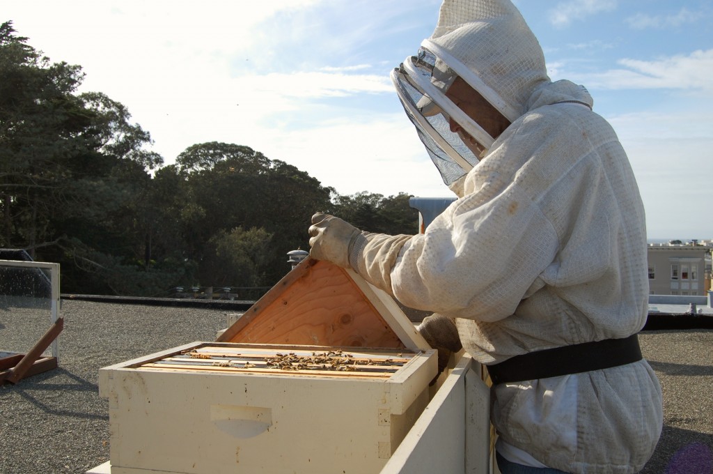 Blevins wraps up hive inspection, happy to find no signs of disease. Photo by Courtney Quirin.