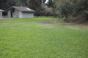 This lawn in Dimond Park would be daylighted to Sausal Creek. Photo by Alison Hawkes.