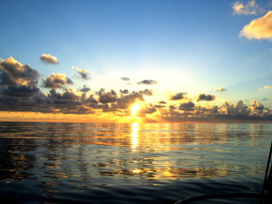 Sunset on the ocean. Photo: Brian Kallen.