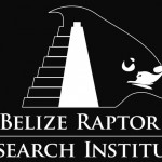 BelizeRaptorLogo