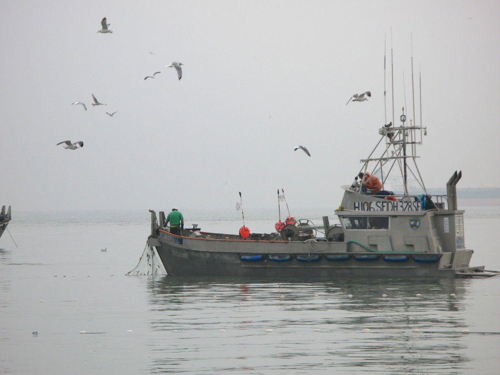 Herring boat off Mission Bay