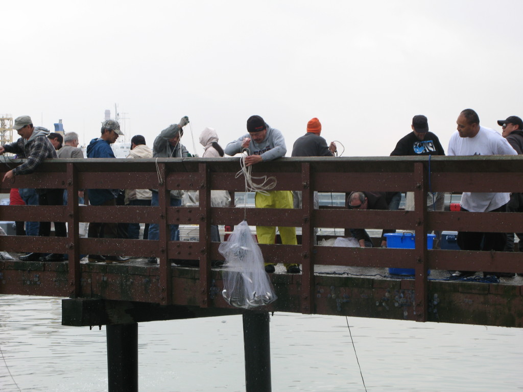 Hauling in a net at Agua Vista Park