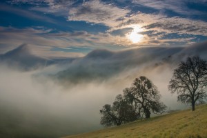 Black Diamond Mines Regional Park. Photo: Marc Crumpler.