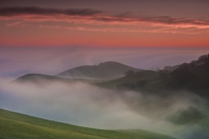 Black Diamond Mines Regional Park. Photo: Marc Crumpler.