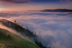 Black Diamond Mines Regional Park. Photo: Marc Crumpler.