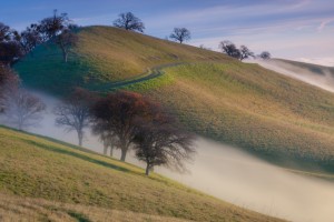 Black Diamond Mines Regional Park. Photo: Marc Crumpler.