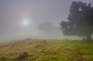 Morgan Territory Regional Preserve. Photo: Marc Crumpler.