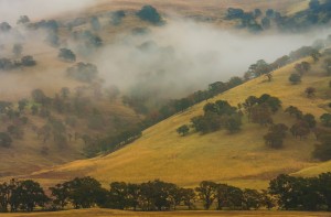 Round Valley Regional Park. Photo: Marc Crumpler.