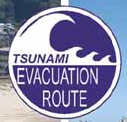 tsunami logo