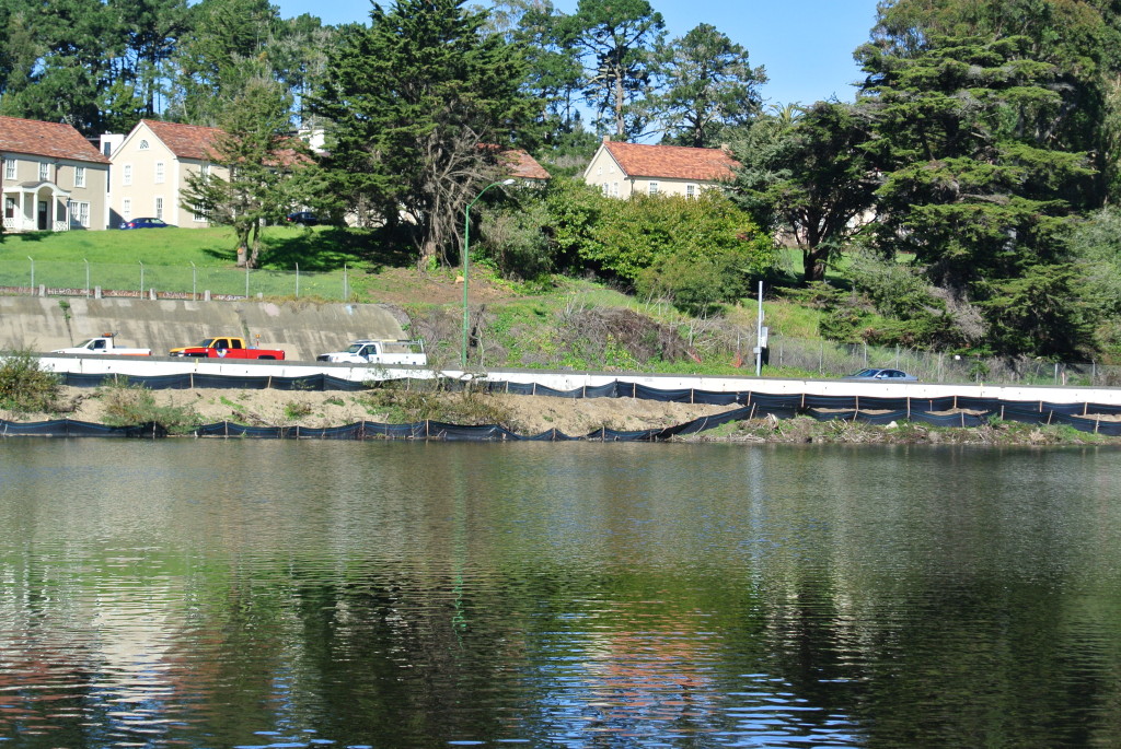 Drivers on Highway 1 can spot Mountain Lake as they drive to the Golden Gate Bridge. The lake's proximity to the highway has added to its problems with pollution. Photo: Dhyana Levey.