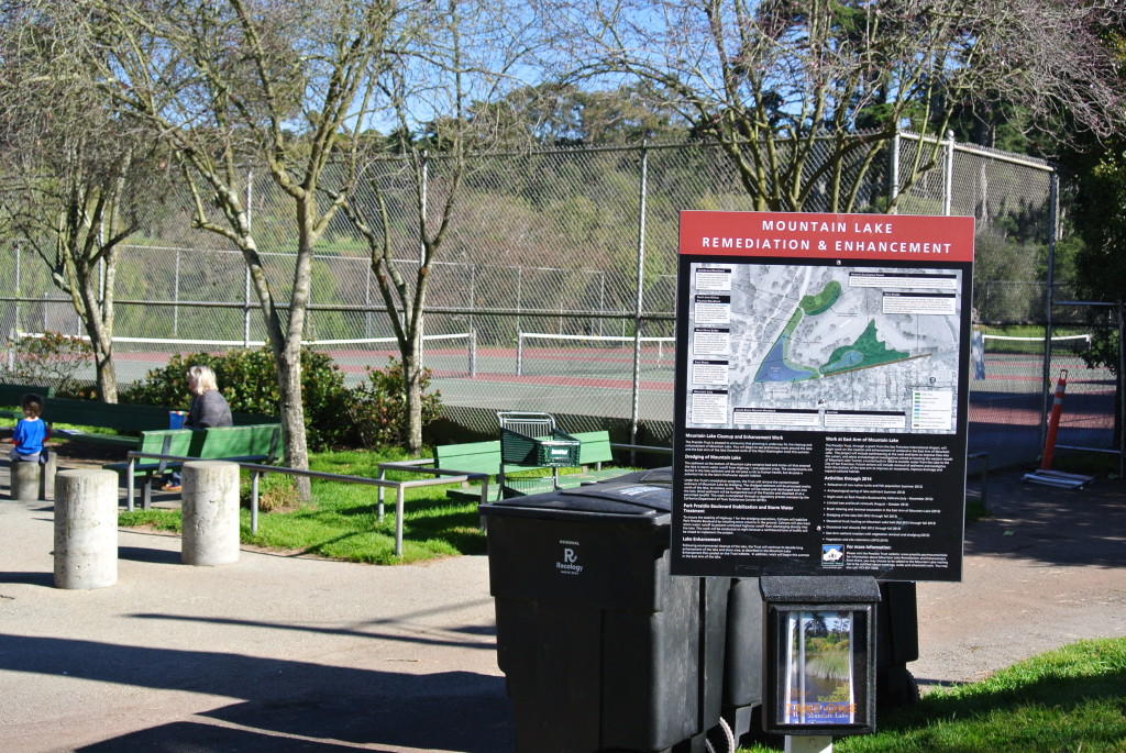 The Presidio Trust, volunteers and other groups are currently working to restore Mountain Lake Park to a vibrant and diverse ecoculture despite its urban location. Photo: Dhyana Levey.