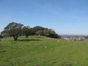 Rademacher-Taylor-IMG_3821
