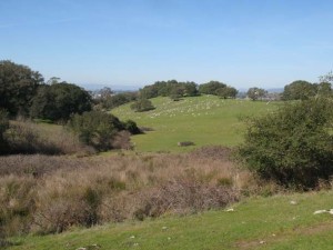 Rademacher-Taylor-IMG_3828